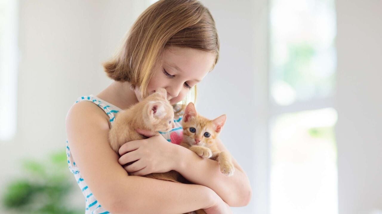 Yavru Kedi İlk İhtiyaçları: Yeni Sahiplenenler İçin Profesyonel Rehber
