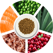 Prochoice Kısırlaştırılmış Pro 33 Salmon&Shrimp Kedi Kuru Maması 15 Kg