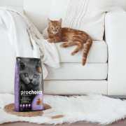Prochoice Cat Kitten Pro 38 Lamb&Rice Yavru Kedi Kuzu&Pirinç Kuru Mama15 Kg
