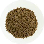 Prochoice Cat Kitten Pro 38 Lamb&Rice Yavru Kedi Kuzu&Pirinç Kuru Mama15 Kg