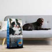 ProChoice Proderma Kuzu Etli ve Pirinçli Yetişkin Köpek Kuru Maması 18 Kg