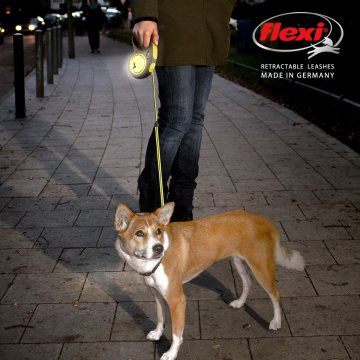 Flexi New Neon Gezdirme Tasması 5 Metre Şerit Large Sarı