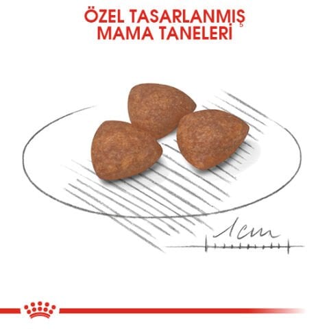 Royal Canin Mini Puppy Küçük Irk Yavru Köpek Maması 2 Kg