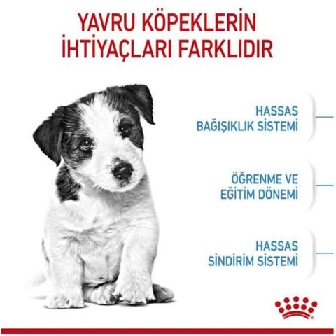 Royal Canin Mini Puppy Küçük Irk Yavru Köpek Maması 4 Kg