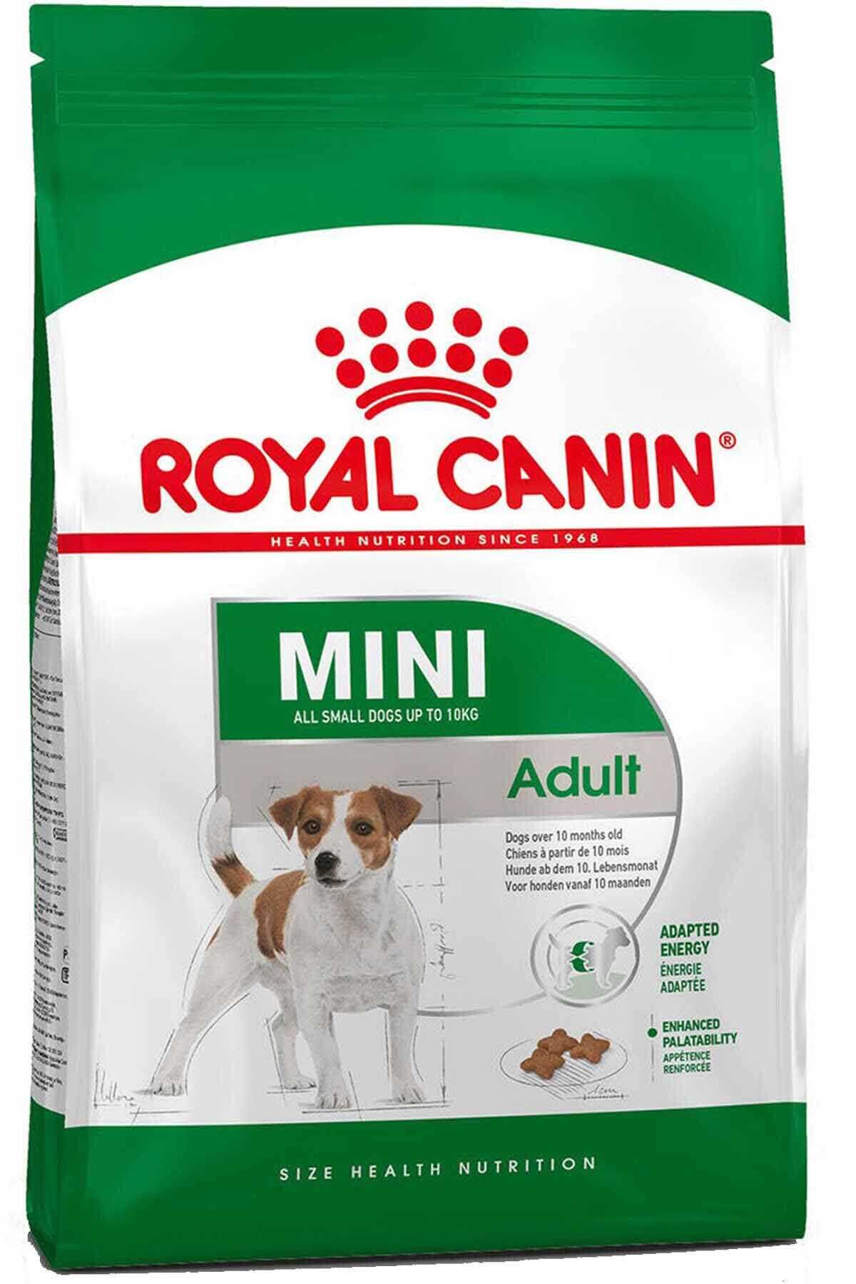 Royal Canin Mini Adult Küçük Irk Yetişkin Köpek Maması 2 Kg
