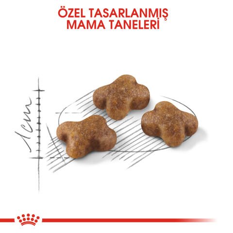 Royal Canin Kitten Yavru Kedi Maması 4 Kg
