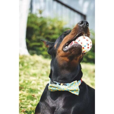 M-Pets Bloom Köpek Topu – 7 cm Dayanıklı Oyun Topu Mondrian Serisi