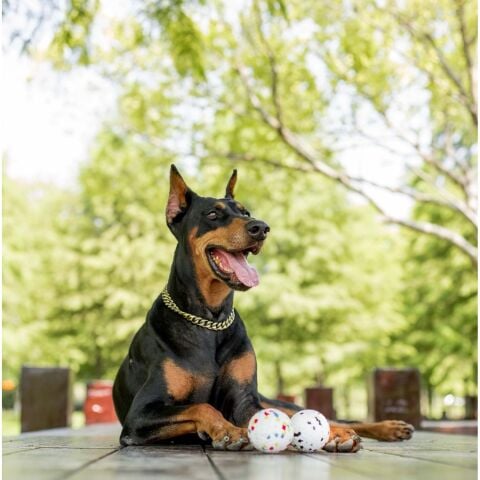 M-Pets Bloom Köpek Topu – 7 cm Dayanıklı Oyun Topu Mondrian Serisi