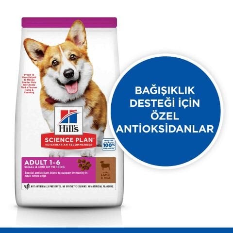 Hill's Science Plan Adult 1-6 Yaş Küçük ve Mini Irk Kuzu Etli & Pirinçli Köpek Maması 6 Kg