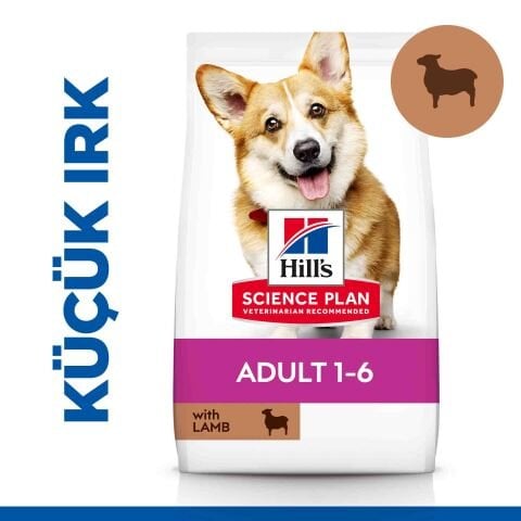 Hill's Science Plan Adult 1-6 Yaş Küçük ve Mini Irk Kuzu Etli & Pirinçli Köpek Maması 6 Kg