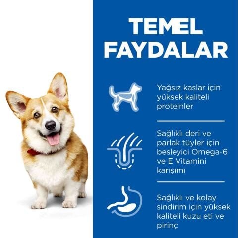 Hill's Science Plan Adult 1-6 Yaş Küçük ve Mini Irk Kuzu Etli & Pirinçli Köpek Maması 6 Kg