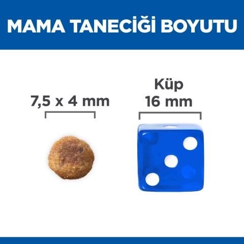 Hill's Science Plan Adult 1-6 Yaş Küçük ve Mini Irk Kuzu Etli & Pirinçli Köpek Maması 6 Kg
