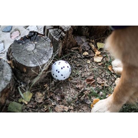 M-Pets Bloom Köpek Topu – 7 cm Dayanıklı Oyun Topu