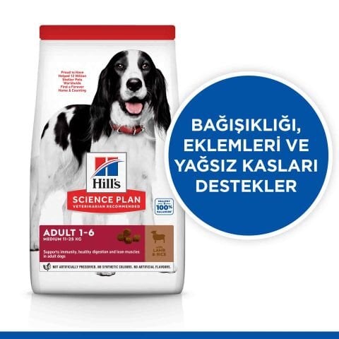 Hill's Science Plan Adult Orta Irk Köpek Maması Kuzu & Pirinç 14 kg