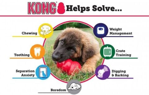 KONG Classic Large Köpek Oyuncağı
