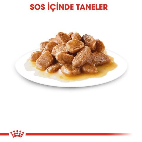 Royal Canin Mini Adult Küçük Irk Köpek Konservesi 85 gr