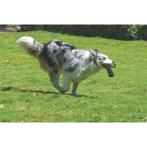 M-Pets Coto Black Loop Bar 34 cm Doğal Pamuklu Siyah Çekiştirme Oyuncağı
