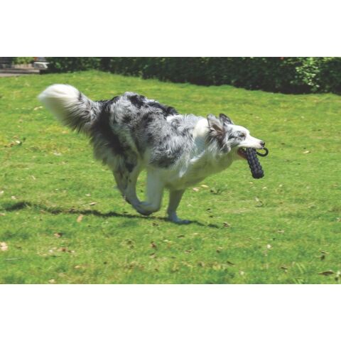 M-Pets Coto White Loop Bar 34 cm Doğal Pamuklu Beyaz Çekiştirme Oyuncağı