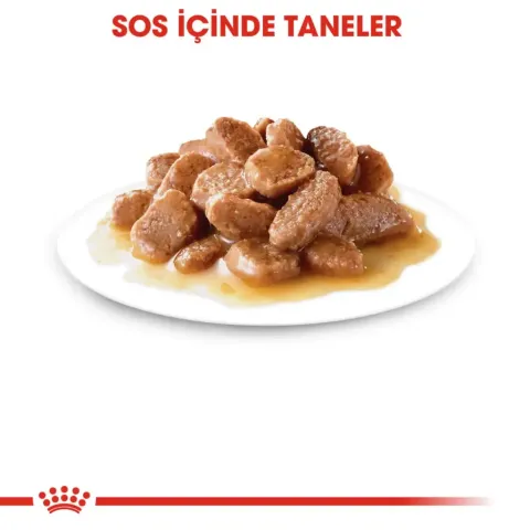 Royal Canin Gravy Pouch Kısırlaştırılmış Kedi Yaş Maması 85 Gr 12 Adet