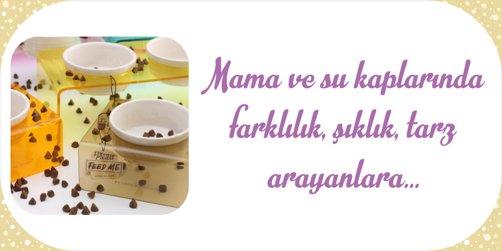 Mama kapları